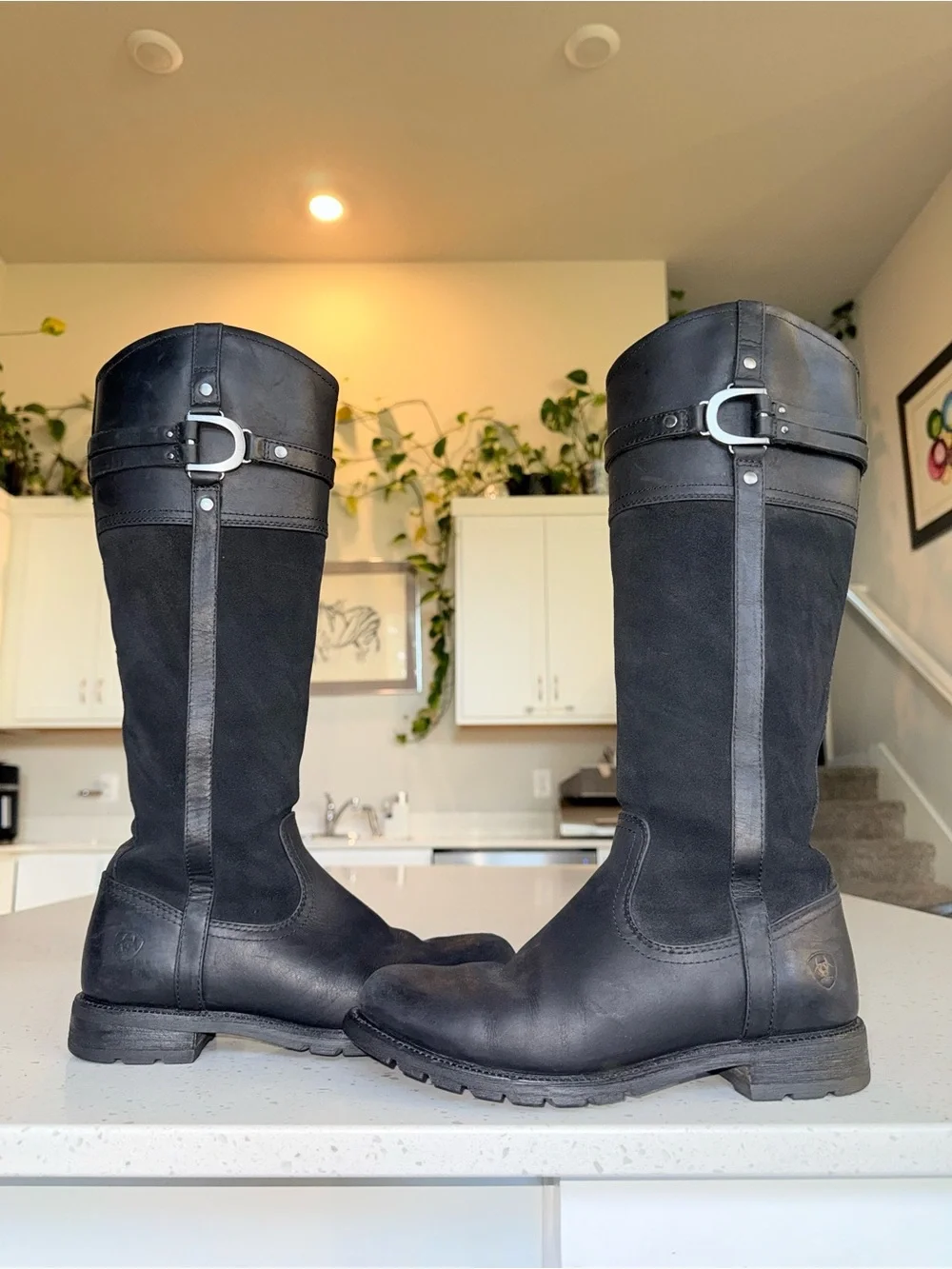 Ariat Loxley H2O Black Leather & Suede Over-The-Knee Riding Boots with Buckle